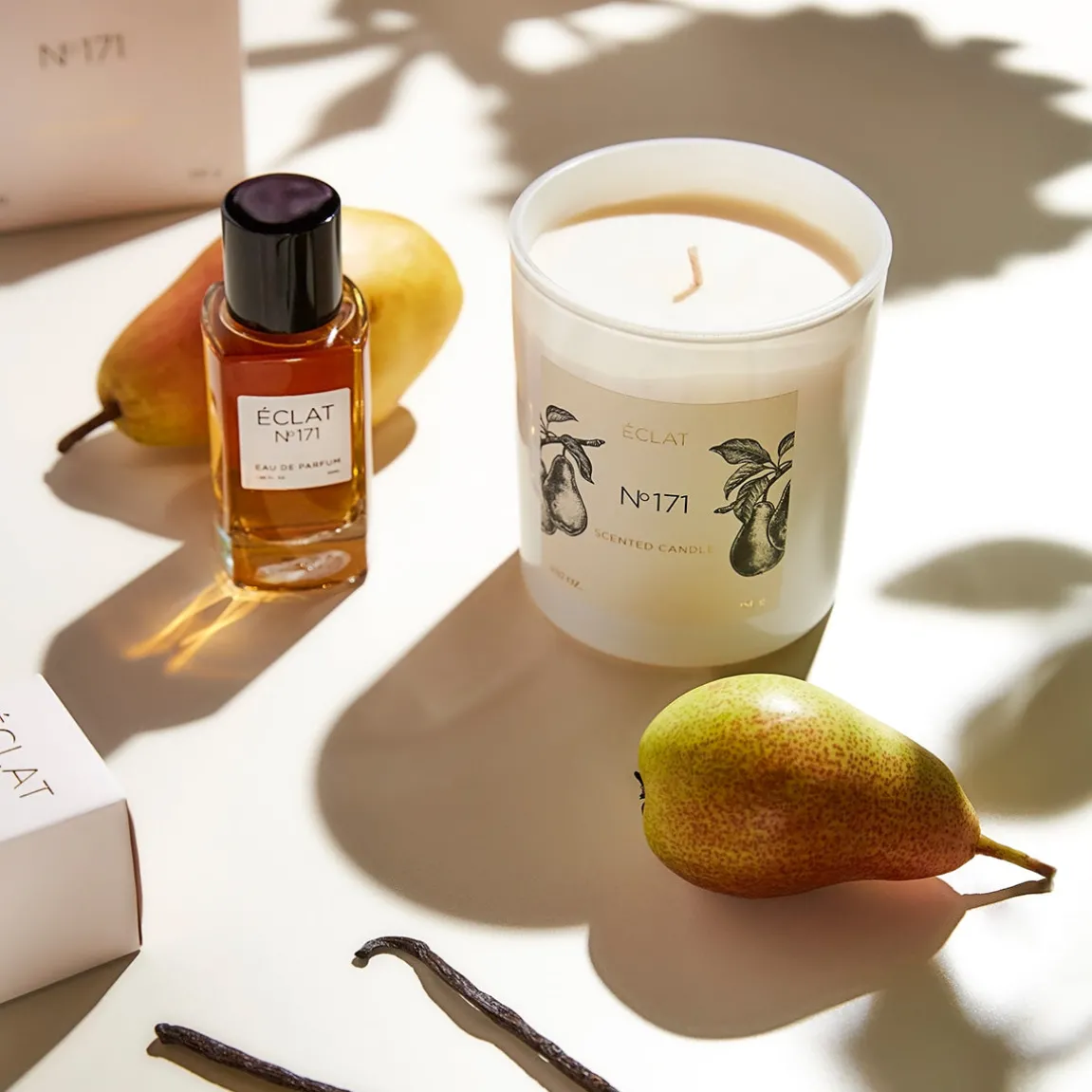 ÉCLAT 171 - Blackcurrant & Praline