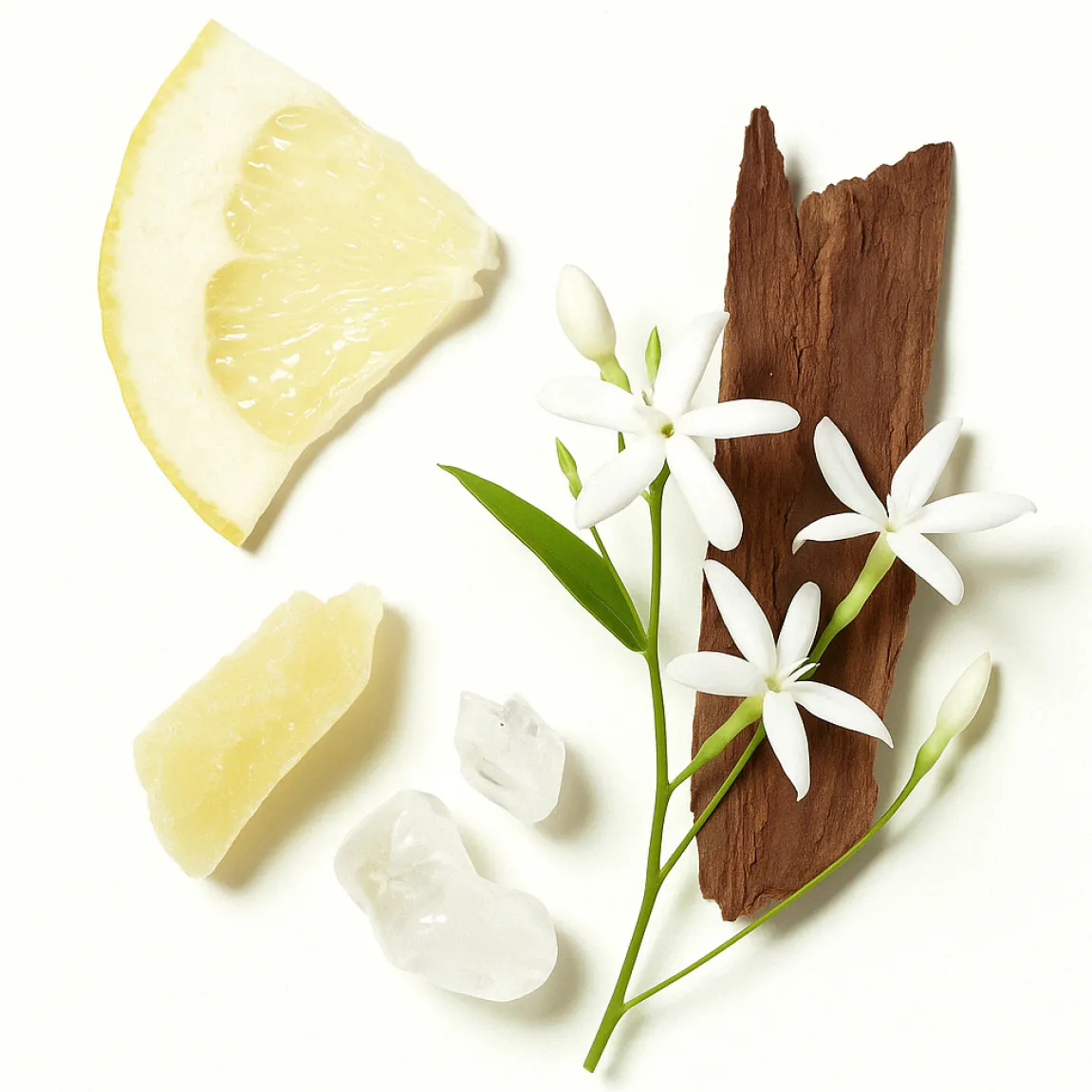 ÉCLAT 241 - Citrus Cedar