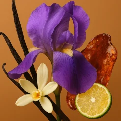 ÉCLAT 184 - Oriental Bergamot