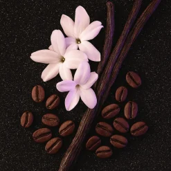 ÉCLAT 190 Autoparfum Nachfüllduft Refill