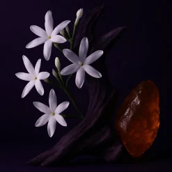 ÉCLAT 117 Body Cream