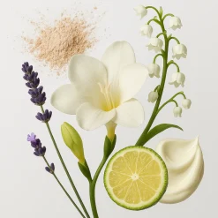 ÉCLAT 910 Duftkerze aus Sojawachs