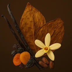 ÉCLAT 903 VIP - Dry Fruits, Vanilla & Tobacco